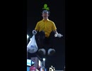 ダ・ヴィンチ・ピクミ山