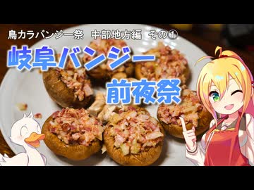 【ソフトウェアトーク車載】岐阜バンジー前夜祭　前編