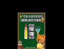 １分でわかる「榴弾と成形炸薬弾」