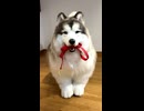 【着ぐるみ】おさんぽいこうよ！