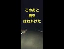 Vlog 湯あかりを見に行くぜ