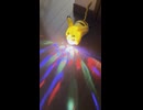 バンコクの市場で見かけたヤバいやつ