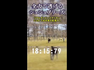 逃げ馬　シュシュブリーズ【リアダビ切り抜き】