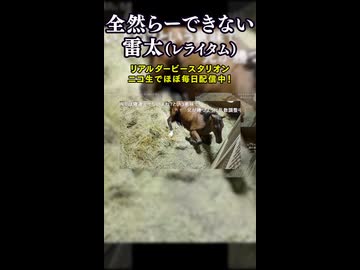 全然らーできない雷太【リアダビ切り抜き】