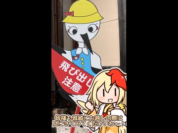 【コウノトリ紹介】コウノトリデザインの飛び出し坊や！