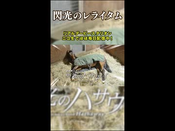 閃光のレライタム 全画面Ver.【リアダビ切り抜き】