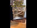 【オカメインコ】お母ちゃんの召集命令！4名のうち指示に従ったのは何名だ！？