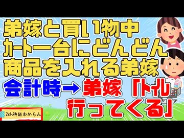 弟嫁「ｺｽﾄｺ行こ！」弟嫁誘われ買い物行ったらカートにどんどん商品を突っ込んでいき、会計時に「トイレ行ってくる―」と一瞬でいなくなった→当然おいてきたｗ