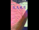 花鳥風月 -クリクロ2026XFD-