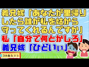 義兄嫁「里帰りしないでください！」義兄「嫁は大人しいからみんなで守ってやらないと」私「いつまでも人を防波堤にしてないで自分達でなんとかしろ！」