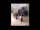The Ultimate Baby Weightlifting video