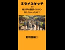 ミライスケッチ ♯9 動物園編① #ミライスケッチ