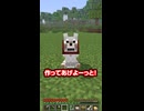 ワンちゃんがワンちゃんじゃないのかもしれない… #マイクラ #マインクラフト #minecraft #shorts
