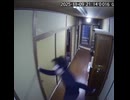 駆・ヴィンチ・走り山