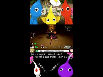 ピクミン界の横綱【ピクミン2】