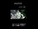 【元バンドマン中低音女子】メビウス歌ってみた（柊キライ様）/short/cover毘沙