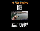 1年ぶりのルアーとの再開　#ブラックバス #ルアー #アブガルシア #AbuGarcia #ビースト #Fishing #釣り
