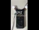 【実写ASMR _耳かき】耳かき棒でカリカリする音【TASCAM DR-07X】