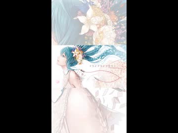 ドライドライフラワー / 初音ミク - Short -