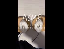 【実写ASMR _耳かき】ステンレス耳かき棒で耳かきする音 #asmr
