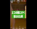 オペレーター使いの "理想と現実"‼️⑥敵を待ってる時編【ヴァロラント/VALORANT】#valorant  #valorantclips #ヴァロラント #みらぺ