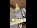 志村さんと対面
