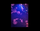 アクアリウムの水面 short