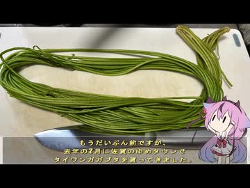 珍食材が食べたい！#228 タイワンガガブタ