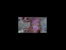 【ニコ生配信切り抜き】DBD ヒルビリー