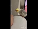 なんで？□