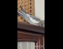 なぎ対策