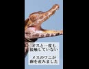 恐竜はメスだけで子どもをつくった！？