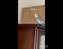 なぎ対策❷