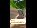 平和平和！