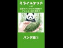 ミライスケッチ ♯67 パンダ編①  #ミライスケッチ