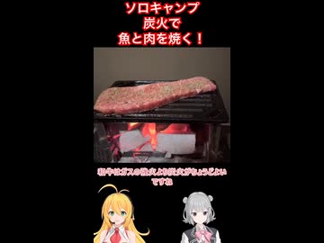 炭火で魚と肉を焼く #ソロキャンプ #弦巻マキ #小春六花 実況