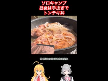 #ソロキャンプ の昼食は手抜きでトンテキ丼！ #弦巻マキ #小春六花 実況