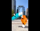 大阪府と大阪市の宙返りが見たいです。あと桃薫を商用目的でランナーで増やした場合犯罪になりますか？