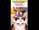 【らびる。】ニコ生 秋の大運動会2025をミラー視聴中、ねむこロックに思いっきりツボってしまう新人ドラゴンVtuberらびる。【2025.11.30/ニコ生切り抜き】