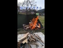 桜の下で焚き火 #shorts