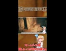 【ELDEN RING】ストームヴィル城　隠しルートの巧妙さに震える #shorts