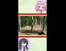 【お城解説】日本のお城ひとくち解説　#2 山城