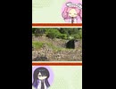 【お城解説】日本のお城ひとくち解説　#3 石垣
