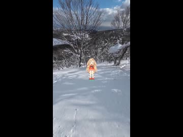 【バックカントリースキー】塩谷丸山【リアル登山アタック】