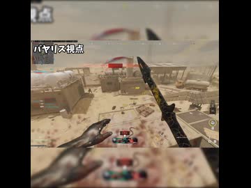 【CoD:MWIII】槍に刺さった人
