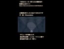 【可不】お星さまを見ていたら泣けてきたのです-shots