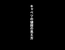 【あるある】キャベツの値段の見え方