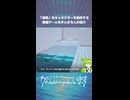 【ずんだもん実況】わたしはここにいます 見えないもの篇