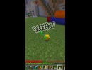 【マイクラ】ひよこかわいいね【事故】