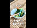 さっぱり！かちわり梅きゅうり【VOICEVOXキッチン】